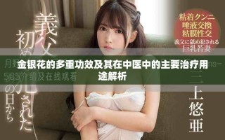 金銀花的多重功效及其在中醫(yī)中的主要治療用途解析