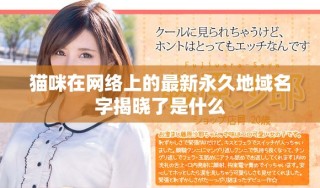 貓咪在網(wǎng)絡(luò)上的最新永久地域名字揭曉了是什么