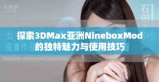 探索3DMax亞洲NineboxMod的獨特魅力與使用技巧
