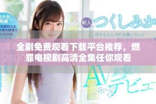 全劇免費(fèi)觀看下載平臺(tái)推薦，燃罪電視劇高清全集任你觀看