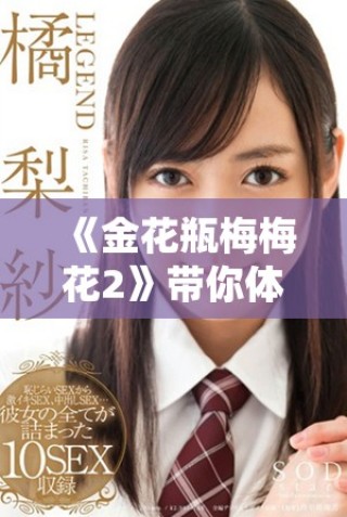 《金花瓶梅梅花2》帶你體驗(yàn)經(jīng)典劇情的全新篇章與感人故事展現(xiàn)