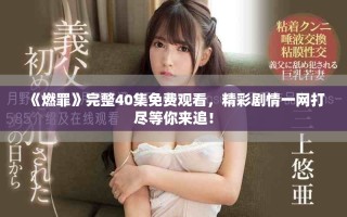 《燃罪》完整40集免費(fèi)觀看，精彩劇情一網(wǎng)打盡等你來追！