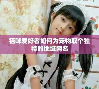 貓咪愛好者如何為寵物取個獨特的地域網(wǎng)名