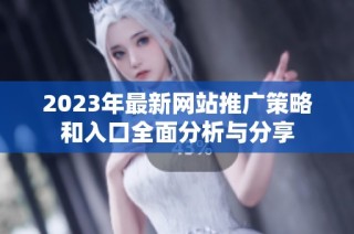2023年最新網(wǎng)站推廣策略和入口全面分析與分享