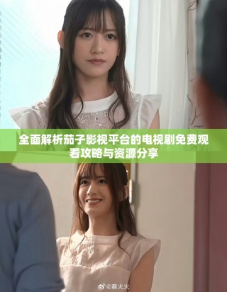 全面解析茄子影視平臺的電視劇免費觀看攻略與資源分享