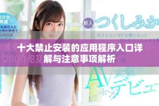 十大禁止安裝的應(yīng)用程序入口詳解與注意事項解析