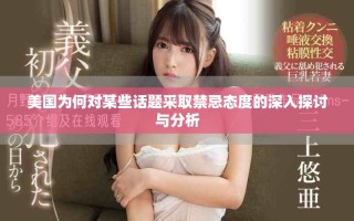 美國為何對某些話題采取禁忌態(tài)度的深入探討與分析