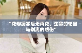 “花瓣凋零后無再花，生命的輪回與別離的感傷”