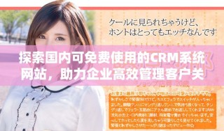 探索國(guó)內(nèi)可免費(fèi)使用的CRM系統(tǒng)網(wǎng)站，助力企業(yè)高效管理客戶關(guān)系