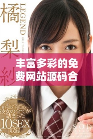 豐富多彩的免費(fèi)網(wǎng)站源碼合集，助你輕松搭建個(gè)人網(wǎng)站
