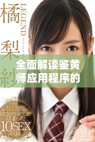 全面解讀鑒黃師應(yīng)用程序的功能與使用體驗(yàn)分享