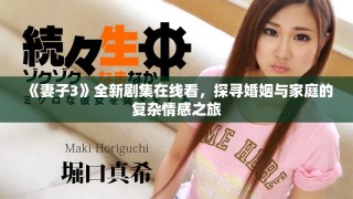 《妻子3》全新劇集在線看，探尋婚姻與家庭的復(fù)雜情感之旅