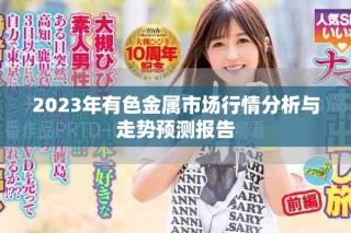2023年有色金屬市場(chǎng)行情分析與走勢(shì)預(yù)測(cè)報(bào)告