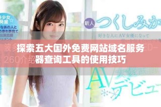 探索五大國外免費(fèi)網(wǎng)站域名服務(wù)器查詢工具的使用技巧