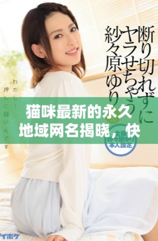 貓咪最新的永久地域網(wǎng)名揭曉，快來看看吧