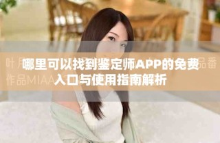 哪里可以找到鑒定師APP的免費入口與使用指南解析