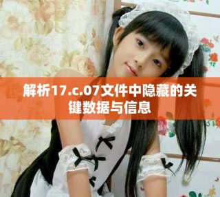 解析17.c.07文件中隱藏的關(guān)鍵數(shù)據(jù)與信息