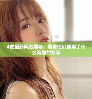 4虎最新網(wǎng)名揭秘，看看他們都用了什么有趣的名字