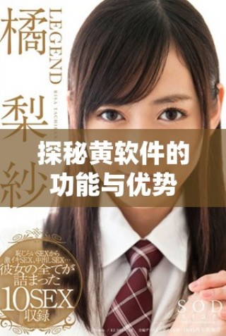 探秘黃軟件的功能與優(yōu)勢(shì)，揭示其在行業(yè)中的應(yīng)用前景