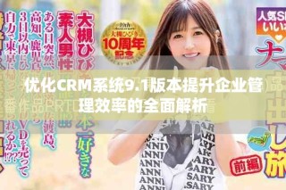 優(yōu)化CRM系統(tǒng)9.1版本提升企業(yè)管理效率的全面解析