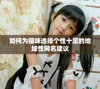 如何為貓咪選擇個(gè)性十足的地域性網(wǎng)名建議
