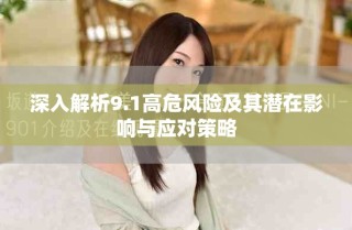 深入解析9.1高危風(fēng)險(xiǎn)及其潛在影響與應(yīng)對(duì)策略