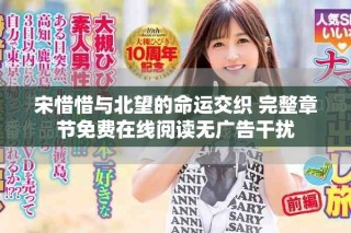 宋惜惜與北望的命運交織 完整章節(jié)免費在線閱讀無廣告干擾