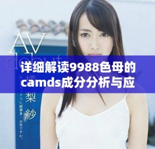 詳細(xì)解讀9988色母的camds成分分析與應(yīng)用價(jià)值
