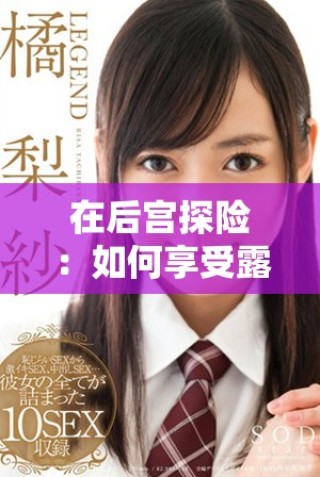 在后宮探險：如何享受露營帶來的獨特魅力與樂趣