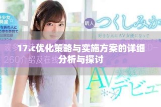 17.c優(yōu)化策略與實施方案的詳細(xì)分析與探討