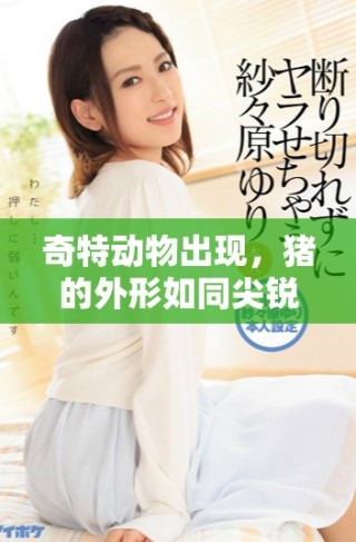 奇特動物出現(xiàn)，豬的外形如同尖銳鉆頭般修長細(xì)致