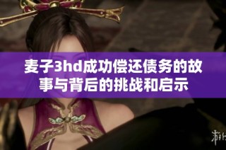 麥子3hd成功償還債務的故事與背后的挑戰(zhàn)和啟示