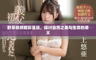 野草視頻精彩呈現(xiàn)，探討自然之美與生命的意義