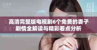 高清完整版電視劇6個免費的妻子劇情全解讀與精彩看點分析