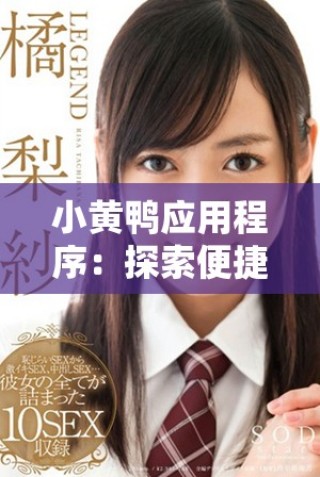 小黃鴨應(yīng)用程序：探索便捷生活服務(wù)的新平臺與功能解析