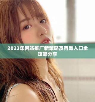 2023年網(wǎng)站推廣新策略及有效入口全攻略分享