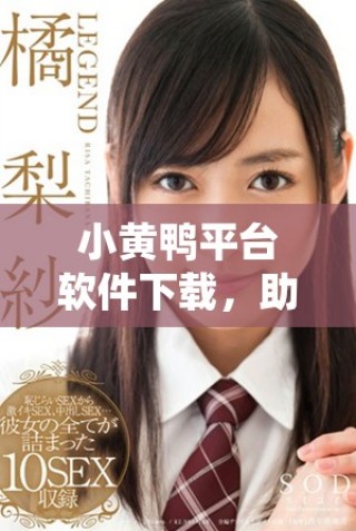 小黃鴨平臺軟件下載，助你高效防范風(fēng)險安全問題