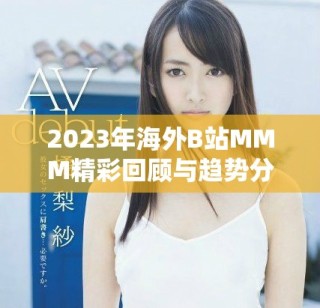 2023年海外B站MMM精彩回顧與趨勢分析分享
