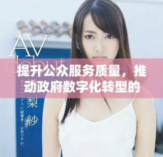 提升公眾服務質(zhì)量，推動政府數(shù)字化轉(zhuǎn)型的新舉措與實踐探討