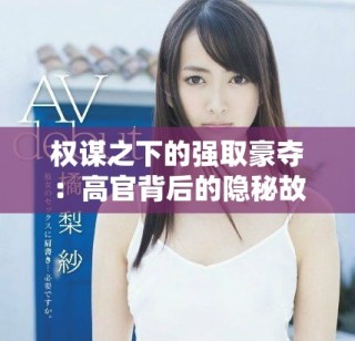 權(quán)謀之下的強(qiáng)取豪奪：高官背后的隱秘故事與權(quán)力游戲