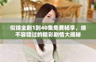 似錦全劇1到40集免費暢享，絕不容錯過的精彩劇情大揭秘