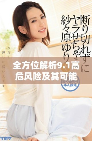 全方位解析9.1高危風(fēng)險及其可能帶來的影響與應(yīng)對策略