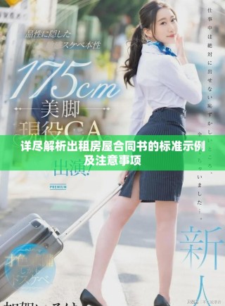 詳盡解析出租房屋合同書的標(biāo)準(zhǔn)示例及注意事項(xiàng)