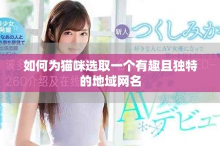 如何為貓咪選取一個有趣且獨特的地域網(wǎng)名