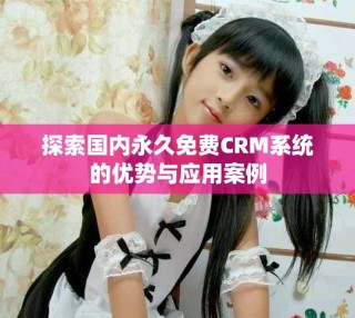 探索國(guó)內(nèi)永久免費(fèi)CRM系統(tǒng)的優(yōu)勢(shì)與應(yīng)用案例