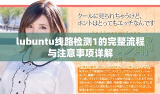 lubuntu線路檢測1的完整流程與注意事項詳解