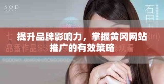提升品牌影響力，掌握黃岡網(wǎng)站推廣的有效策略