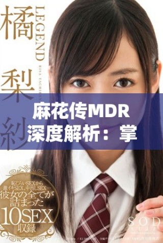 麻花傳MDR深度解析：掌握其背后的故事與意義