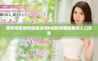 黃岡地區(qū)如何快速訪問B站的詳細指南與入口信息