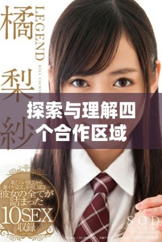 探索與理解四個合作區(qū)域的獨特優(yōu)勢與挑戰(zhàn)